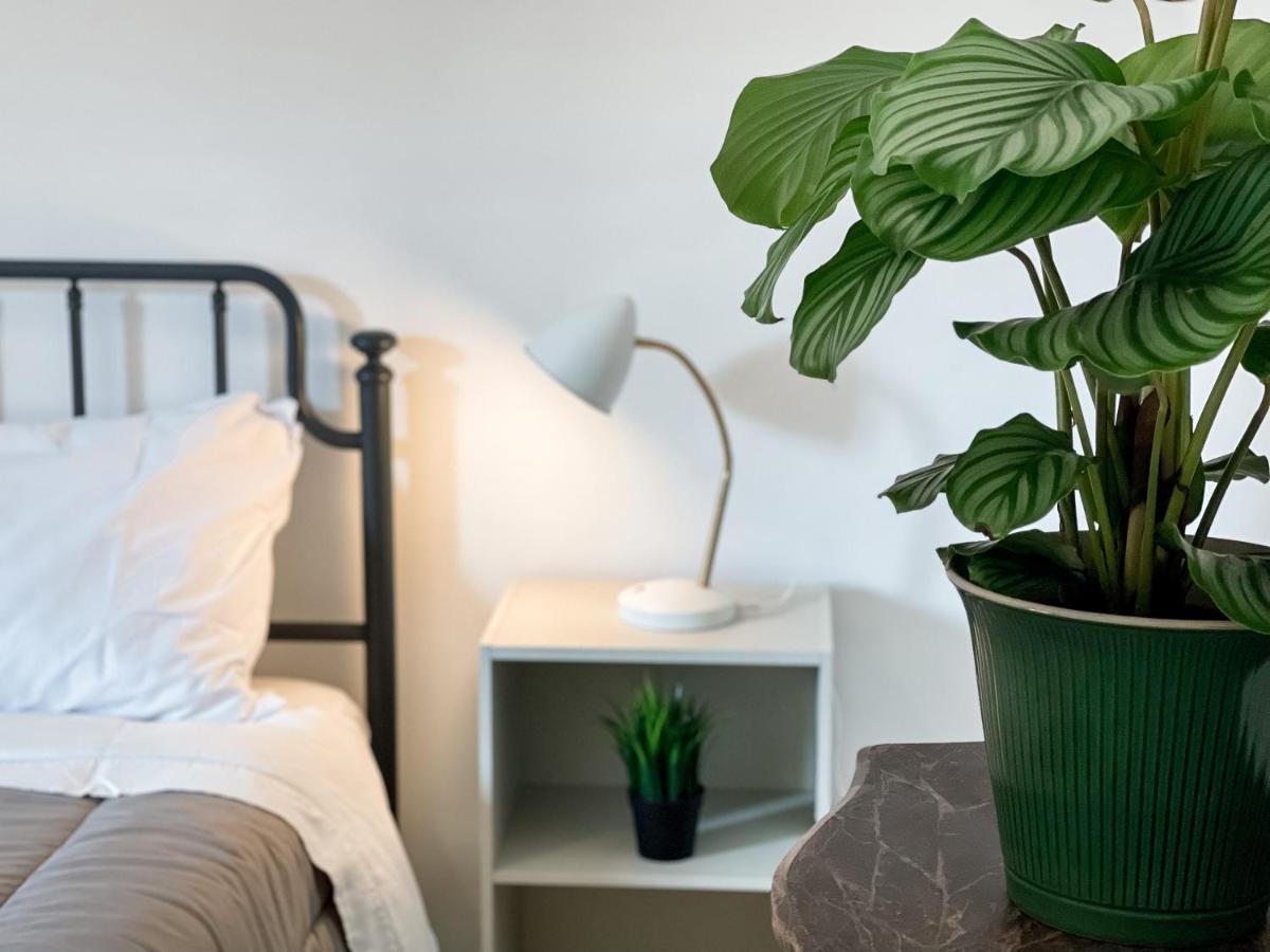 شقة Sestio House روما المظهر الخارجي الصورة